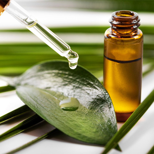 Tea Tree Oil Manufacturer in Delhi