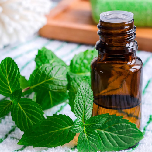 Peppermint Oil Natural Manufacturer in Mumbai