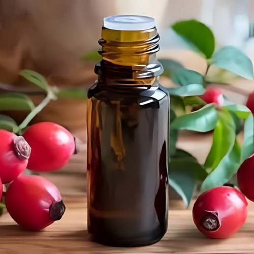 Wintergreen Oil Manufacturer in Delhi