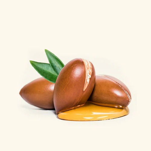 Argan Oil Manufacturer in Delhi
